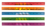 12 in. Mood Ruler (7280)