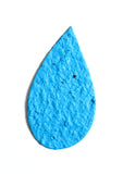 Blue Flame/Water Drop Seed Card with Logo (4744)